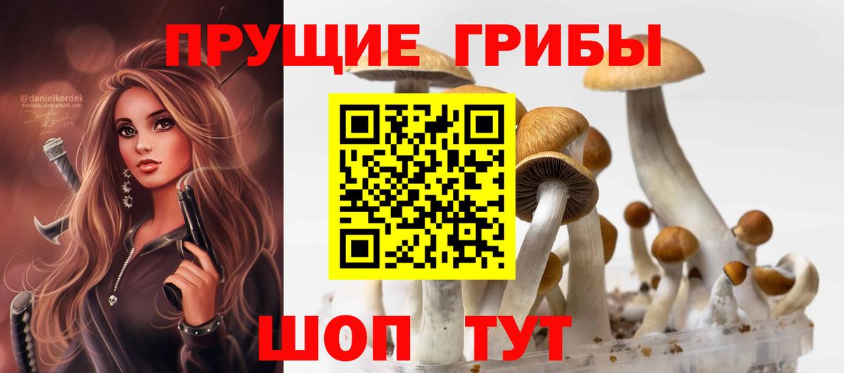 Псилоцибиновые грибы Magic Shrooms Камышлов