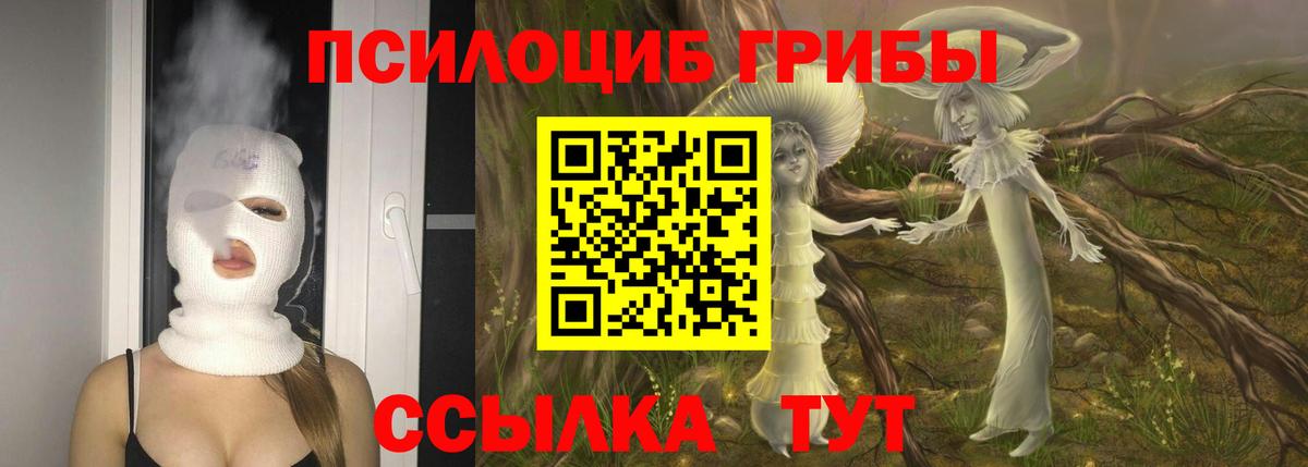 Камышлов  Псилоцибиновые грибы Cubensis  Вход с VPN 